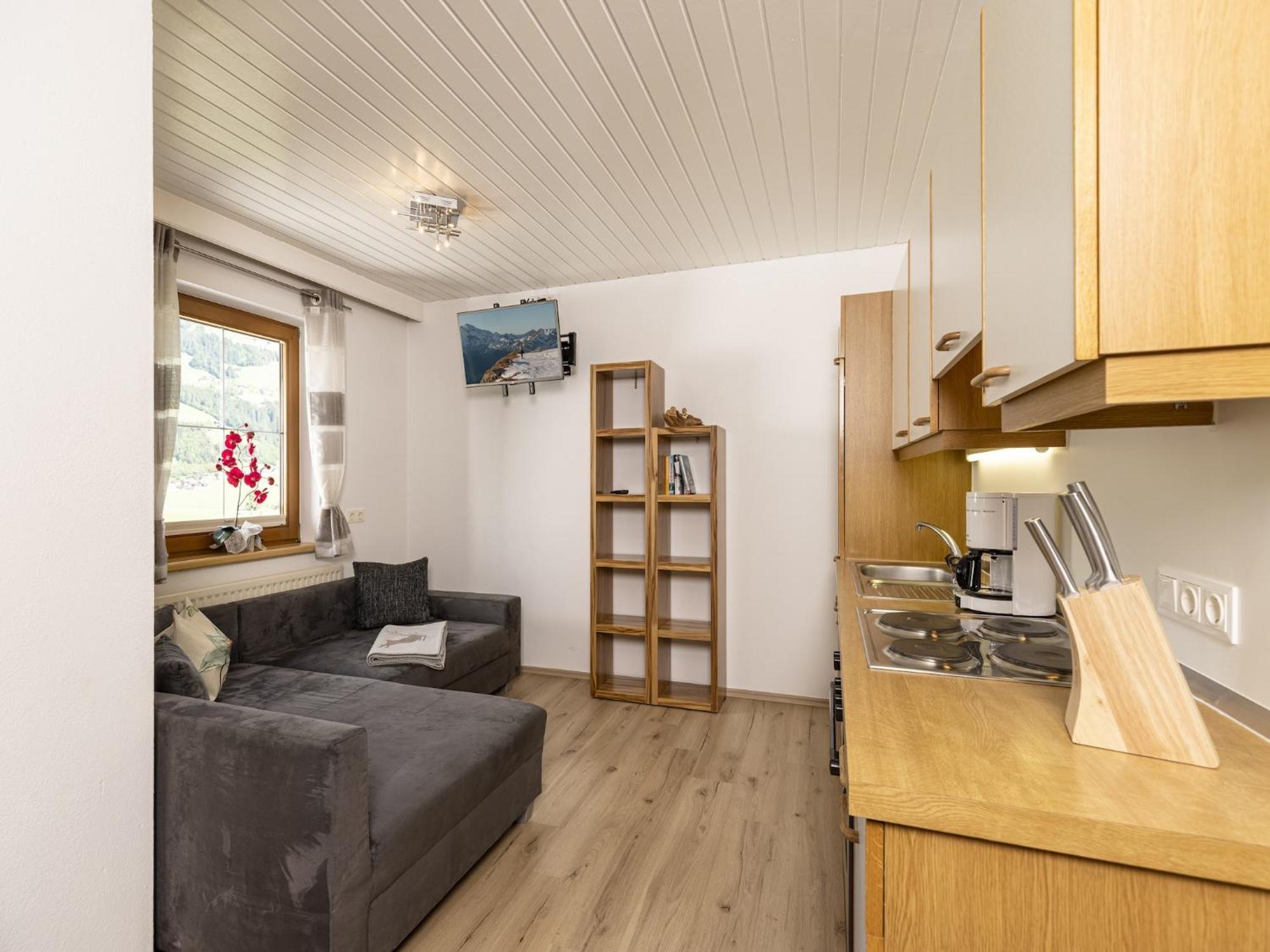 Apartment With Panoramic View Ramsau im Zillertal Zewnętrze zdjęcie