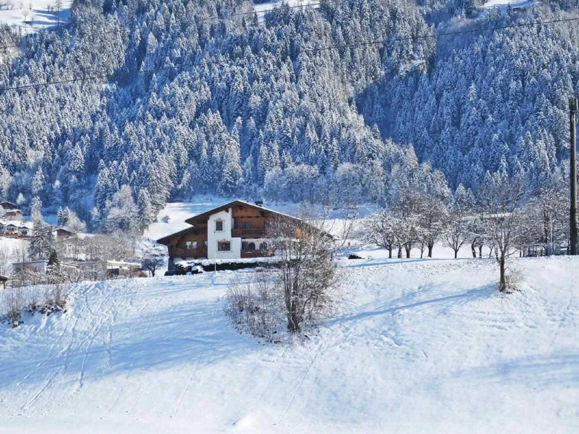Apartment With Panoramic View Ramsau im Zillertal Zewnętrze zdjęcie